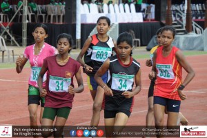 12140177_10154304808544251_165866365799151925_o 